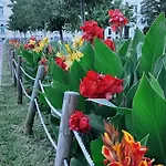 Danube Riverside With Quite Workplace 아파트 브라티슬라바