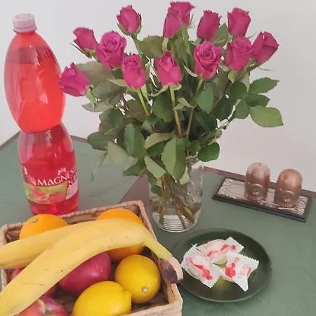 Apartamento Danube Riverside With Quite Workplace