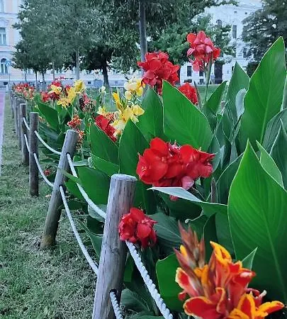 Danube Riverside With Quite Workplace アパート ブラチスラヴァ
