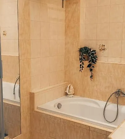 Danube Riverside With Quite Workplace *